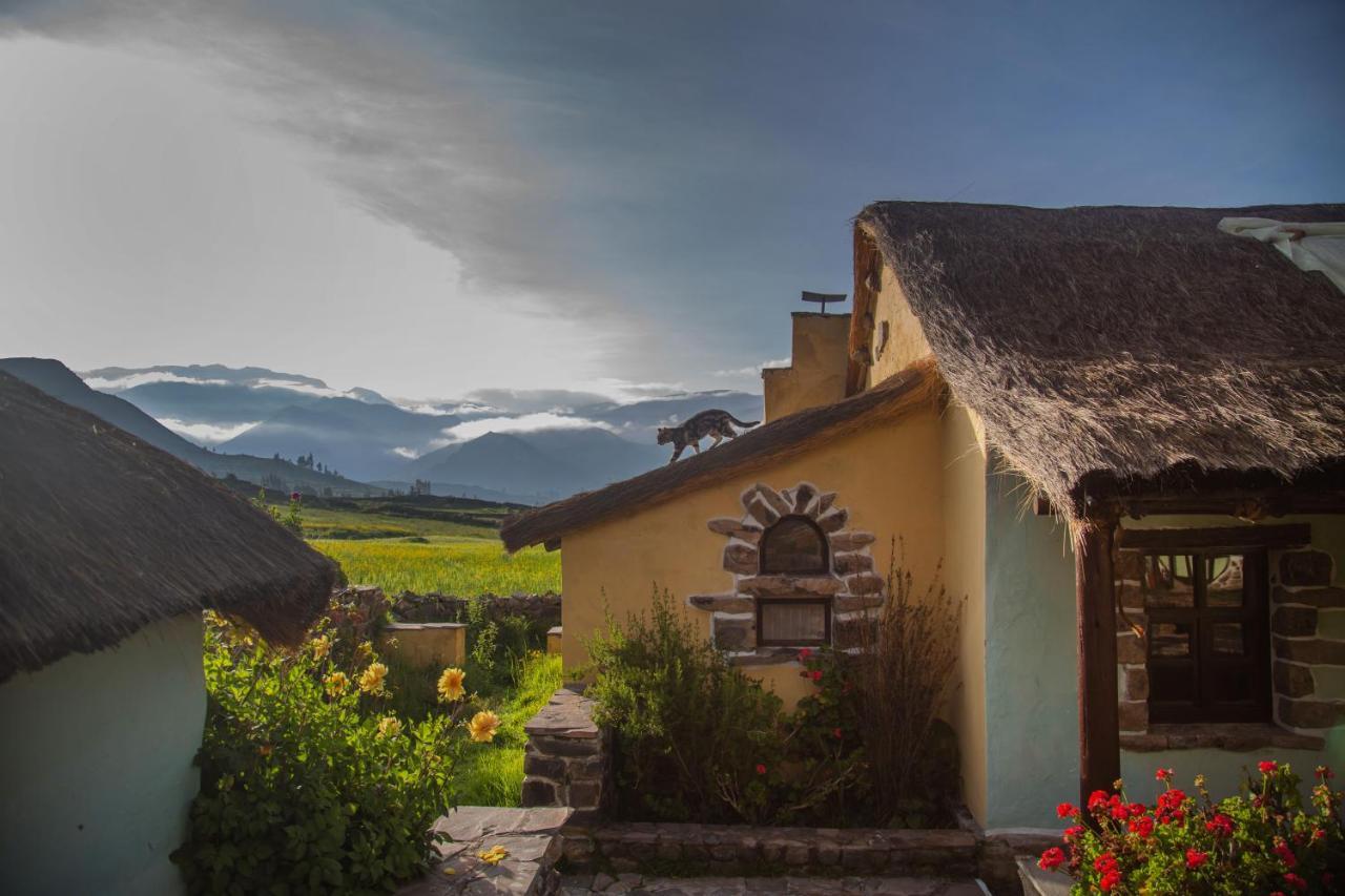 Ayni Wasi Guest House Coporaque ภายนอก รูปภาพ