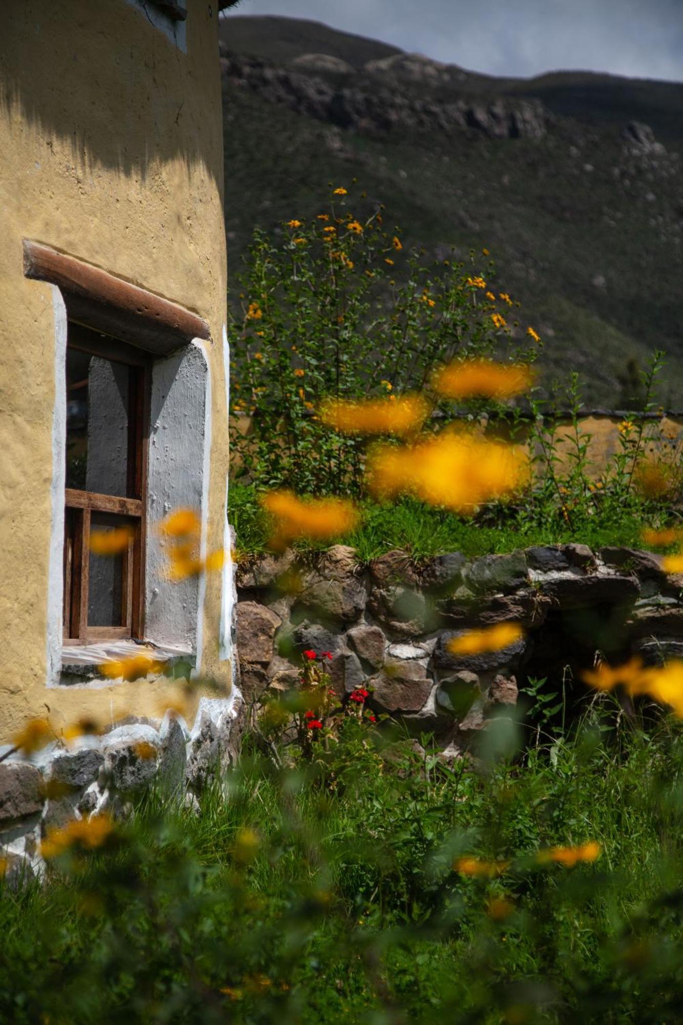 Ayni Wasi Guest House Coporaque ภายนอก รูปภาพ